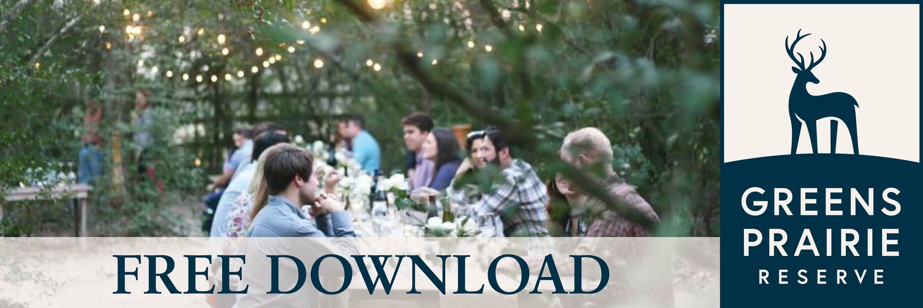Free Download Link