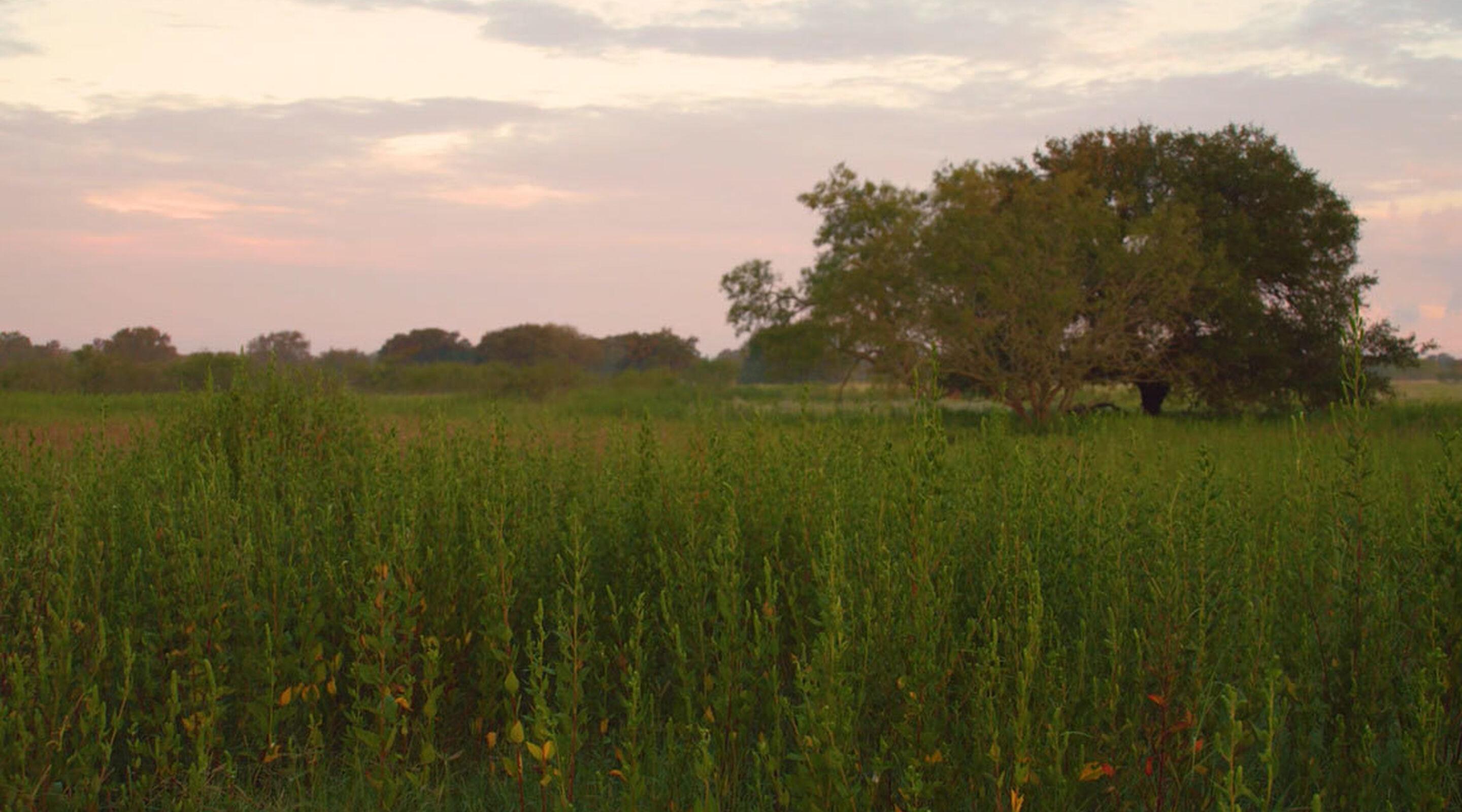contact-header
